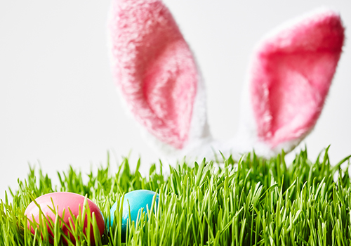 Easter Bunny ears sticking out over grass with two Easter Eggs.